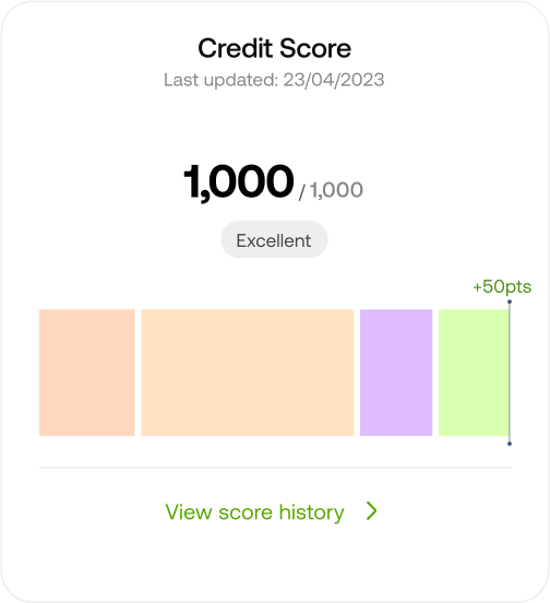 Credit Report image description